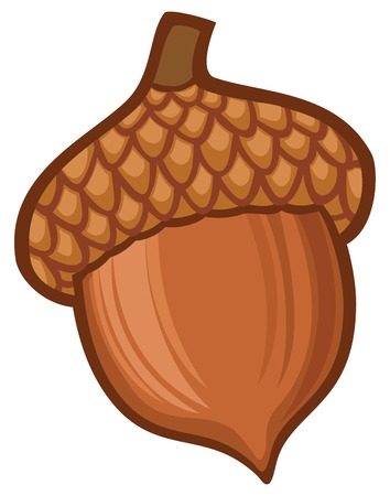 Detail Clipart Acorn Nomer 34