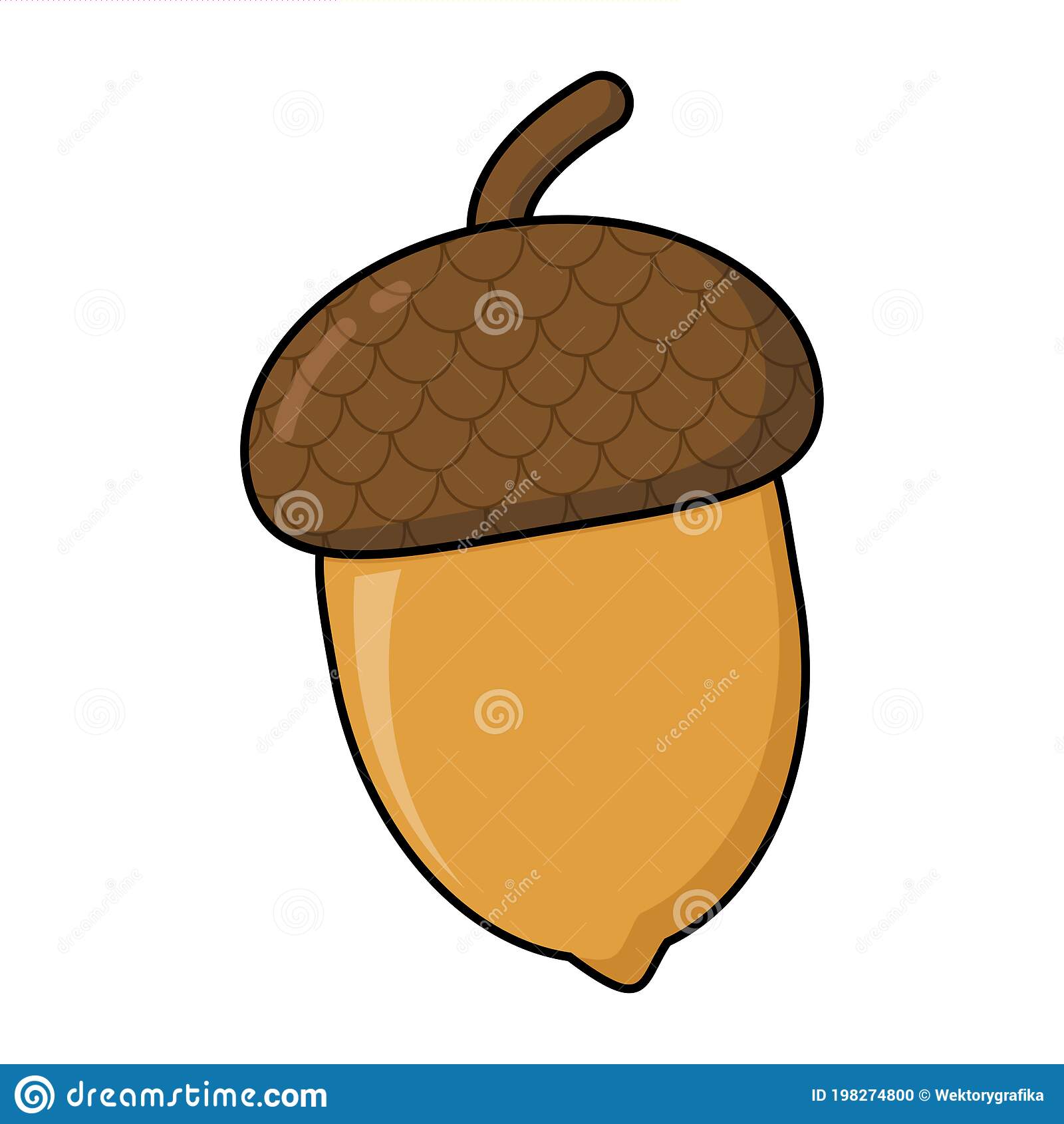 Detail Clipart Acorns Nomer 18