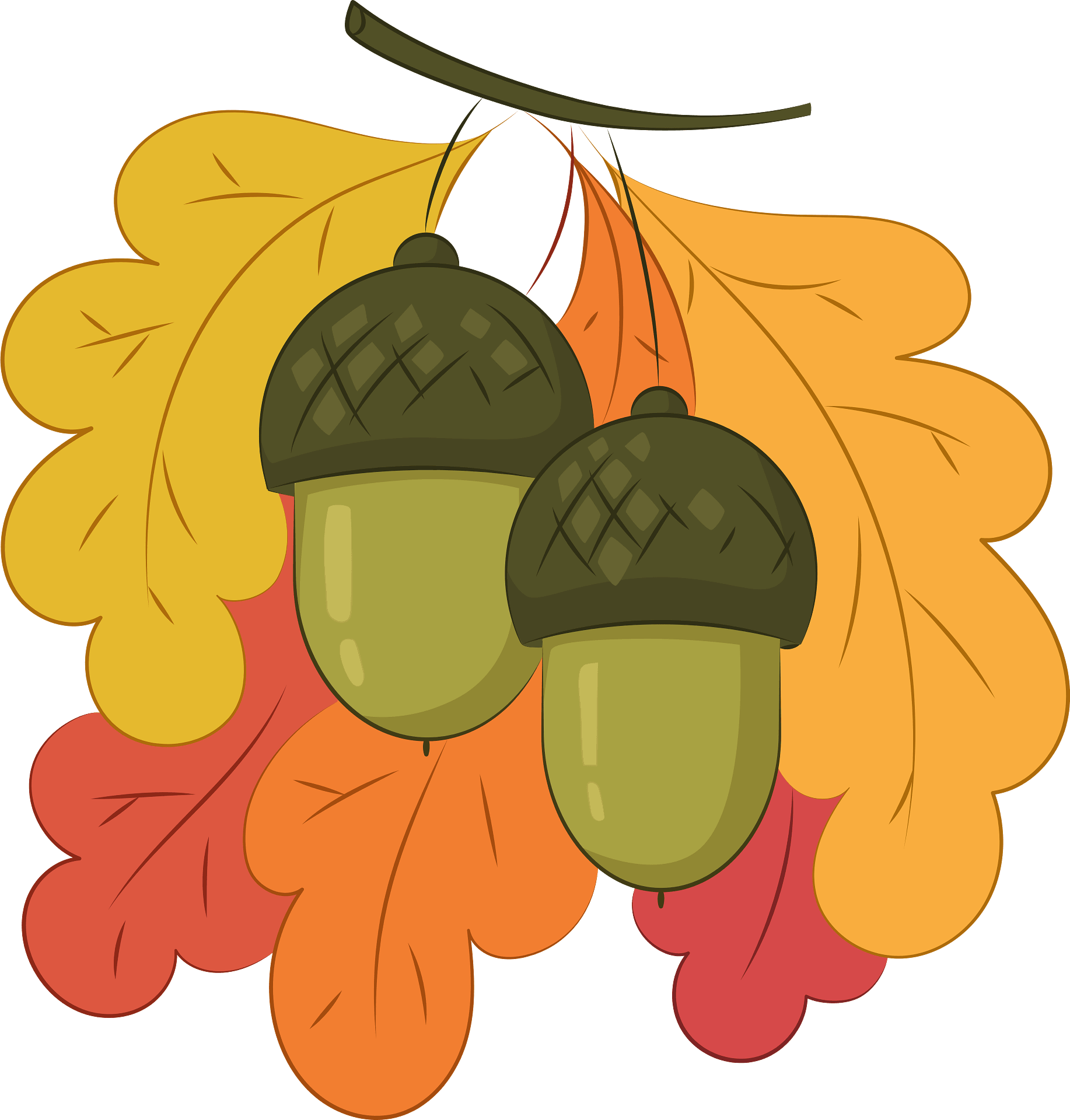 Detail Clipart Acorns Nomer 35