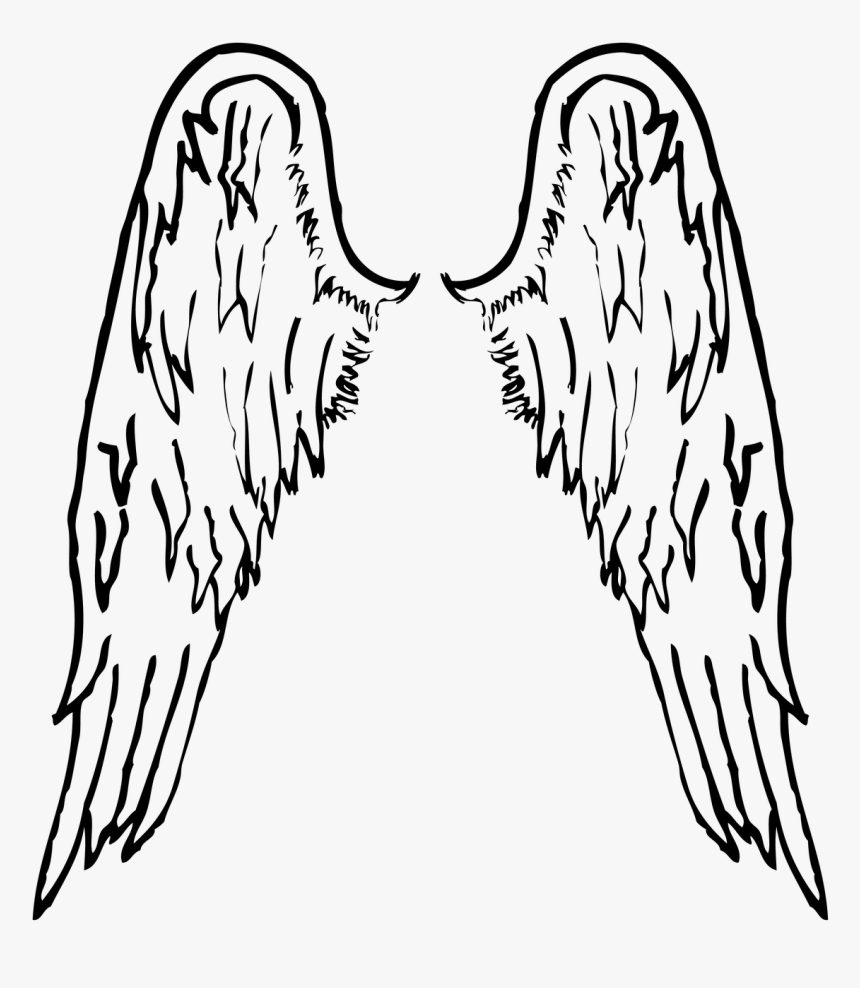 Detail Clipart Angels Wings Nomer 18