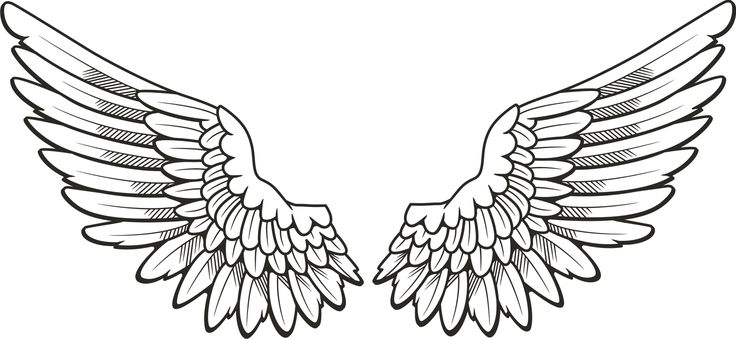 Detail Clipart Angels Wings Nomer 10