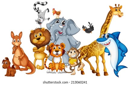 Clipart Animals - KibrisPDR