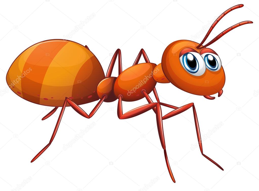 Detail Clipart Ants Nomer 25