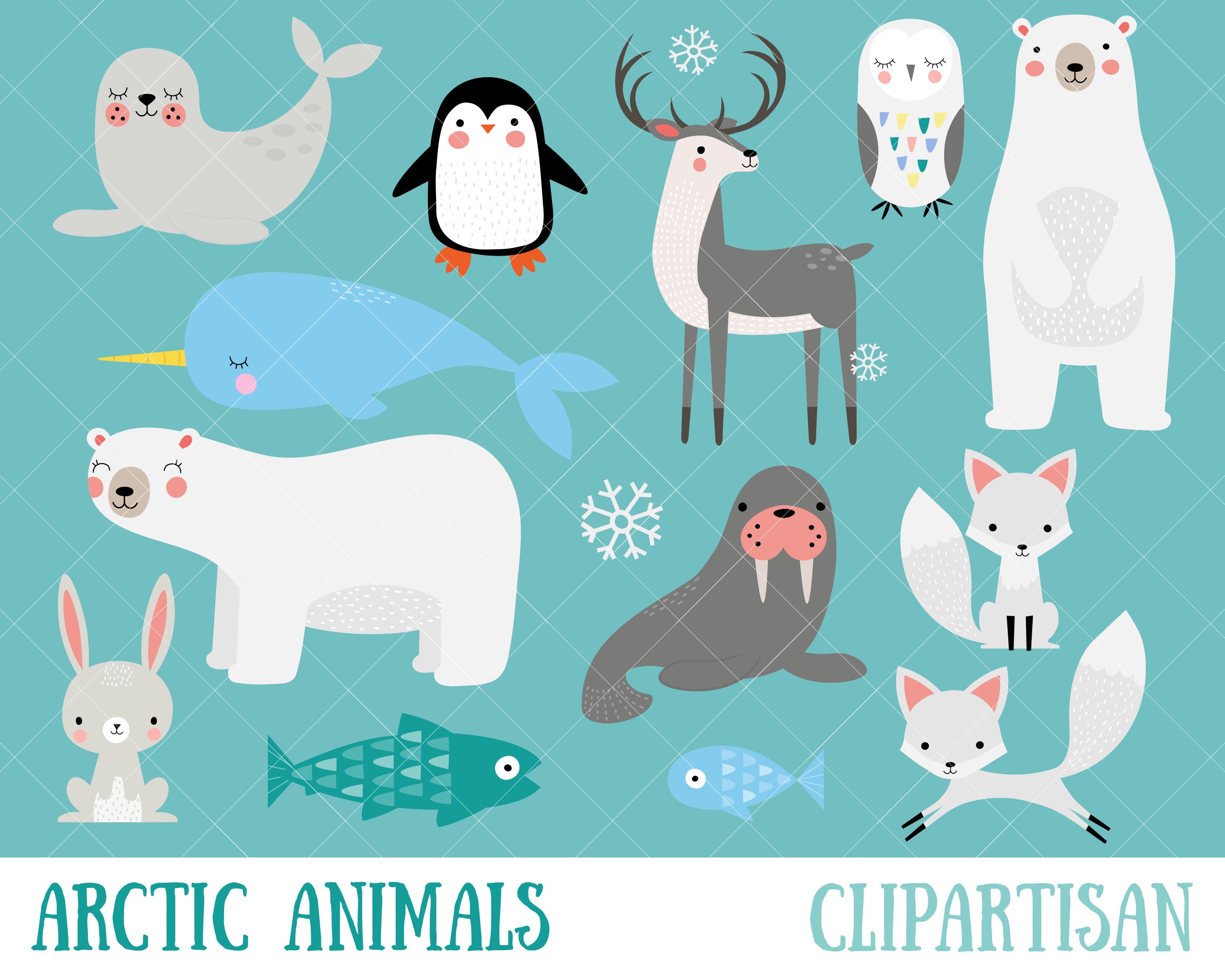 Detail Clipart Arctic Animals Nomer 16