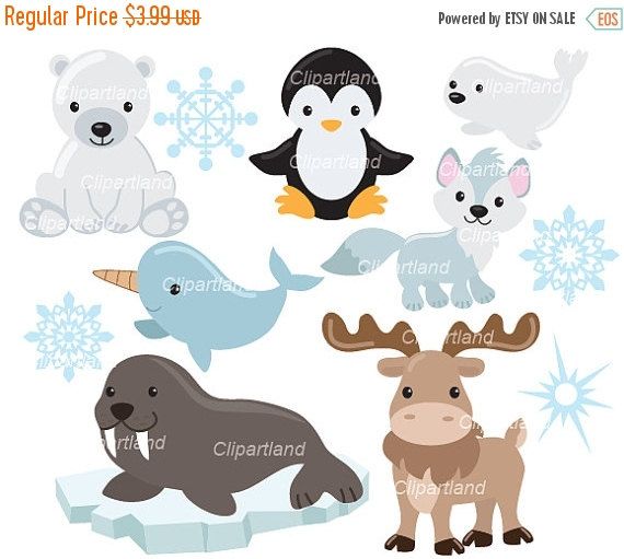 Detail Clipart Arctic Animals Nomer 18