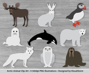 Detail Clipart Arctic Animals Nomer 24