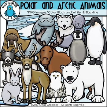 Detail Clipart Arctic Animals Nomer 45