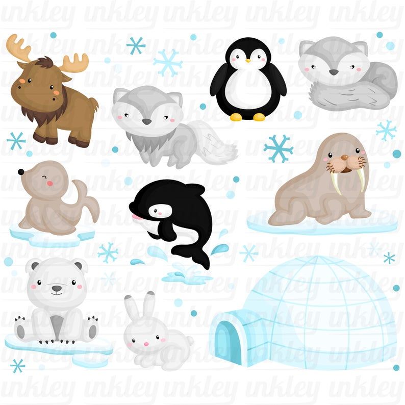 Detail Clipart Arctic Animals Nomer 49