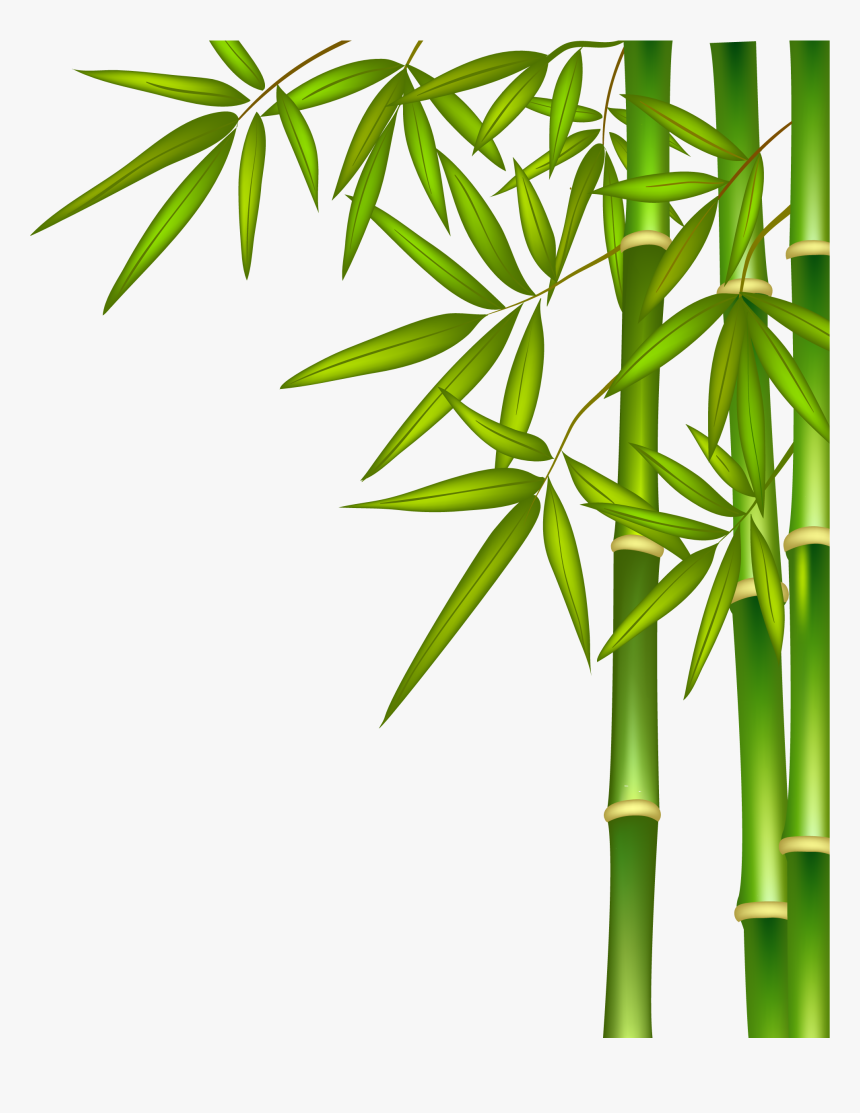 Clipart Bamboo - KibrisPDR