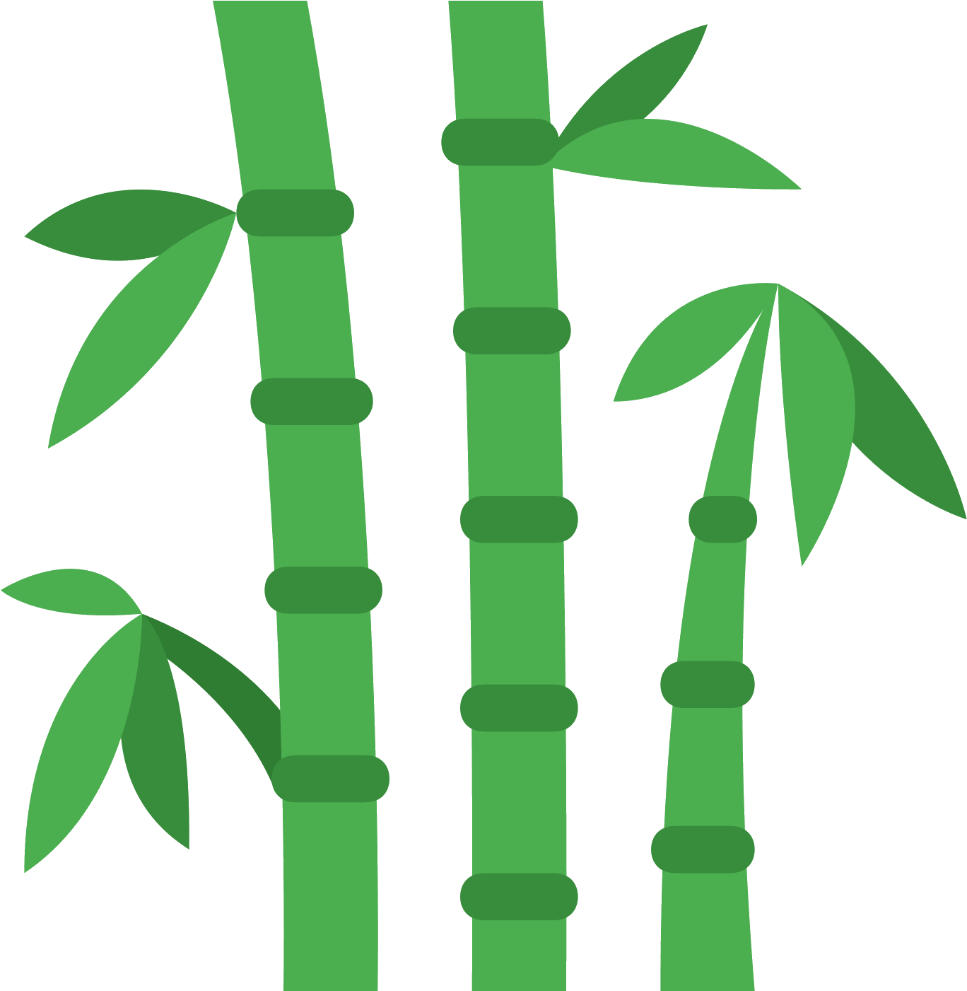 Detail Clipart Bamboo Nomer 11