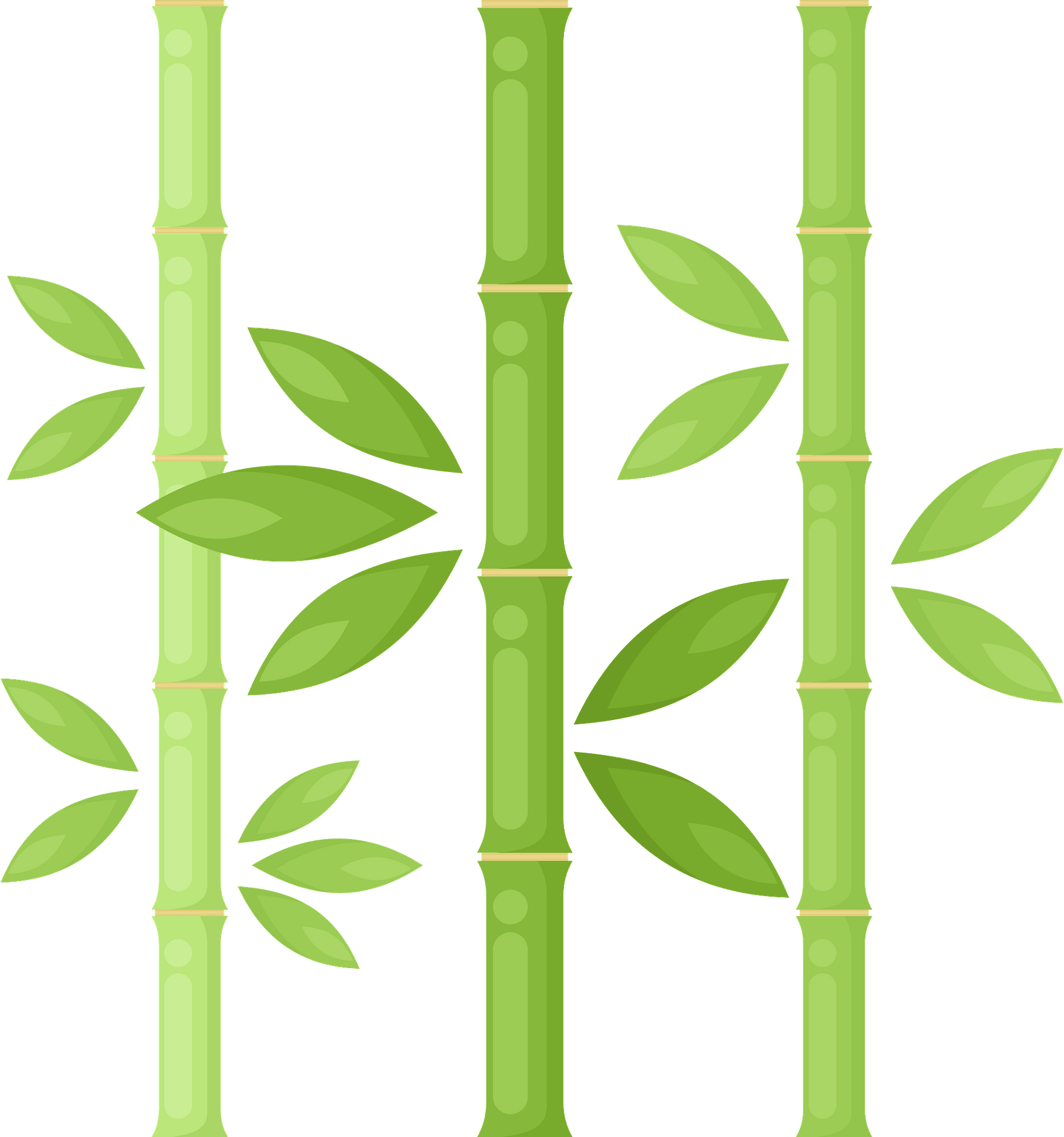 Detail Clipart Bamboo Nomer 43