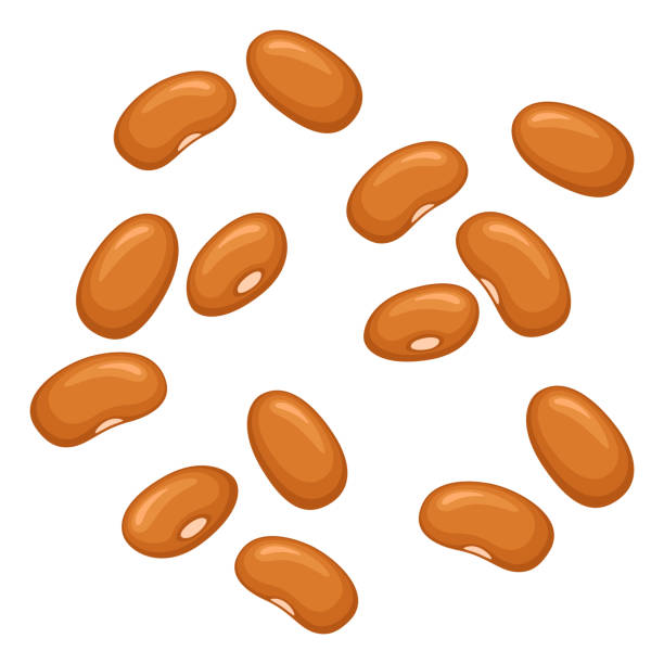 Clipart Beans - KibrisPDR