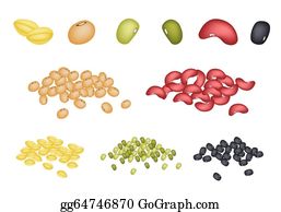 Detail Clipart Beans Nomer 11