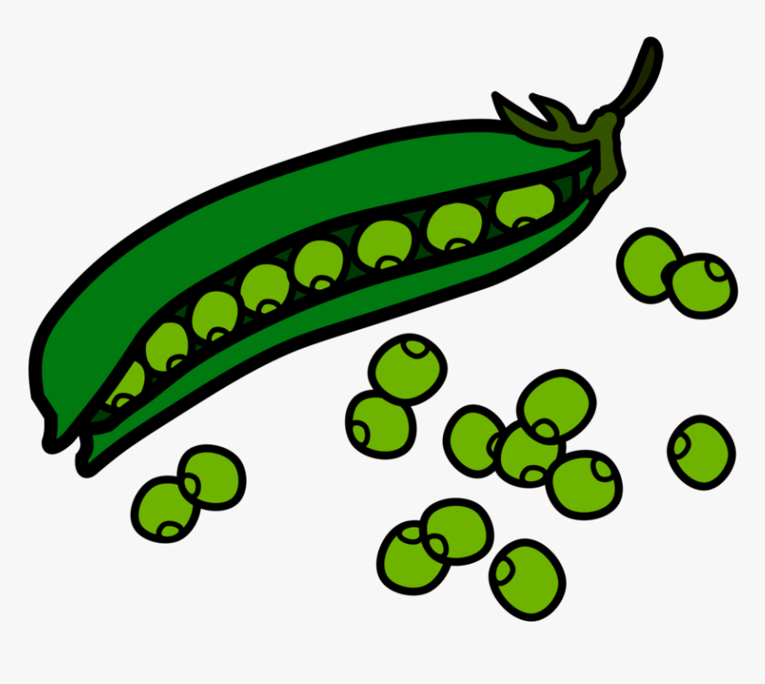 Detail Clipart Beans Nomer 2