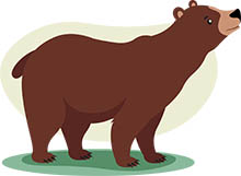 Detail Clipart Bear Nomer 42