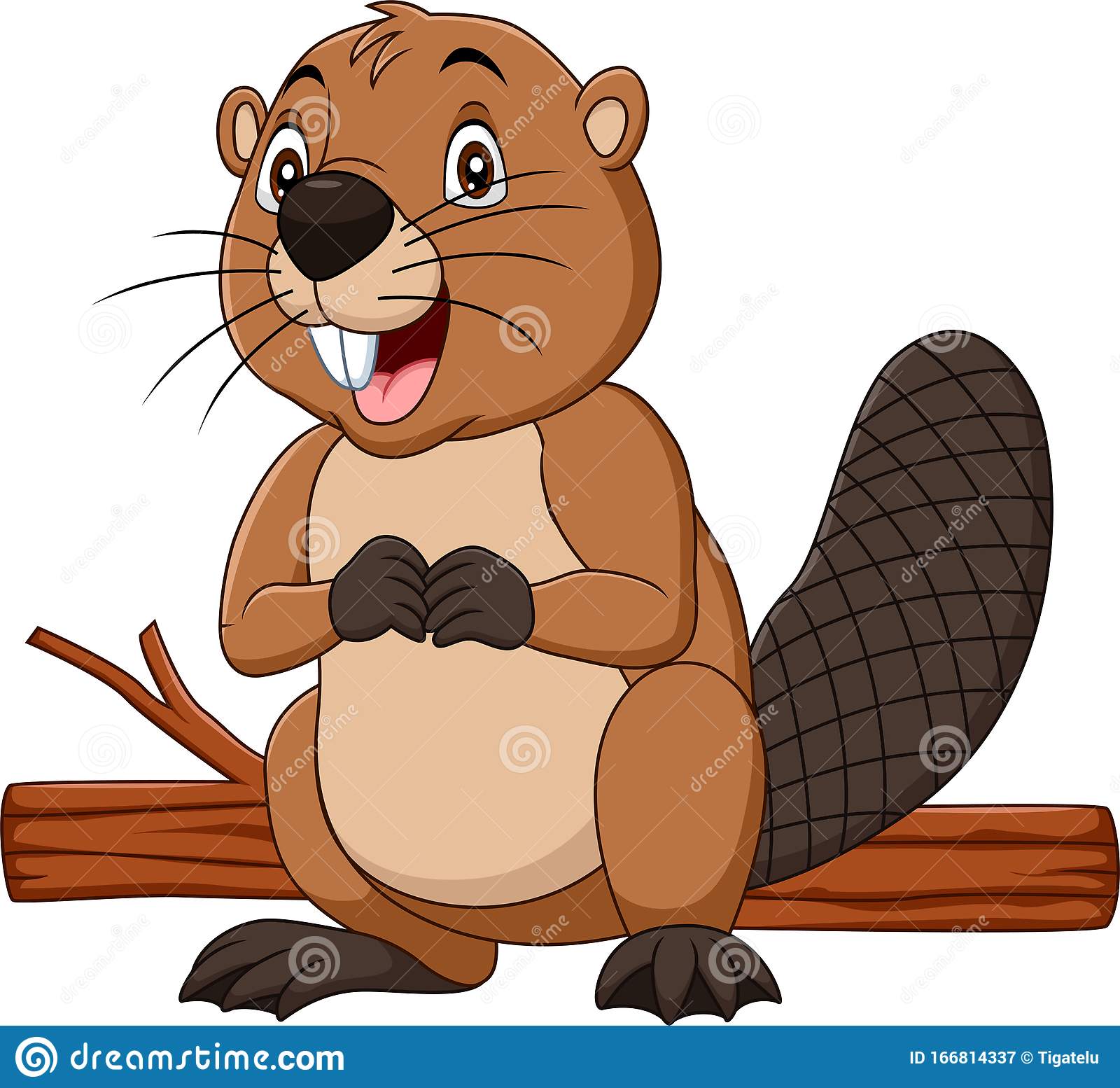 Detail Clipart Beaver Nomer 13