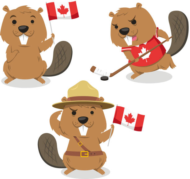 Detail Clipart Beaver Nomer 29