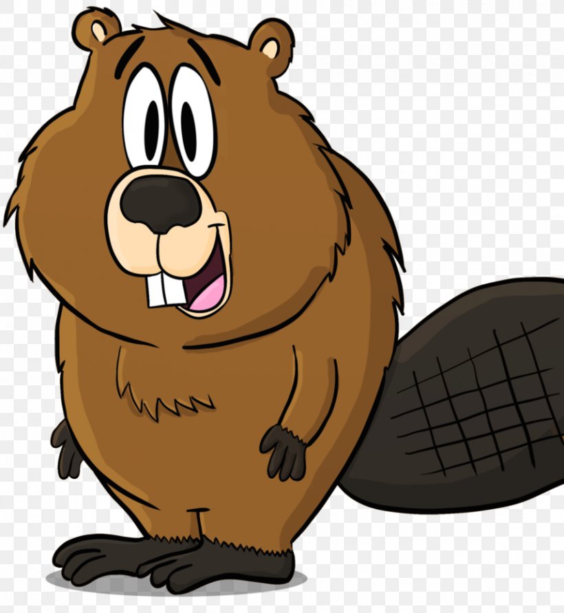 Detail Clipart Beaver Nomer 49