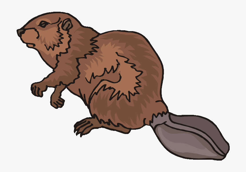 Detail Clipart Beavers Nomer 5