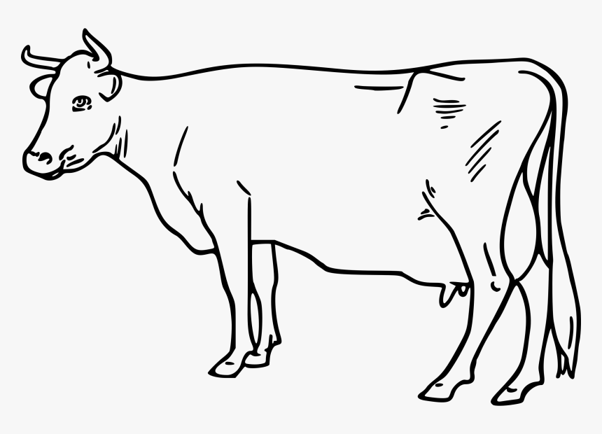 Detail Clipart Black And White Cow Nomer 11