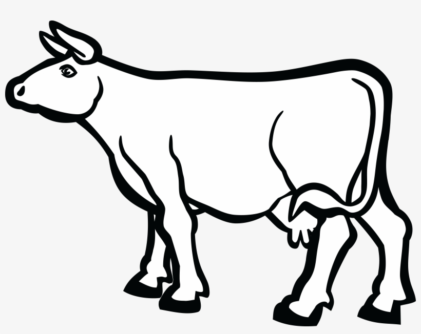 Detail Clipart Black And White Cow Nomer 20