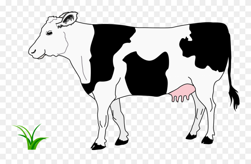 Detail Clipart Black And White Cow Nomer 30