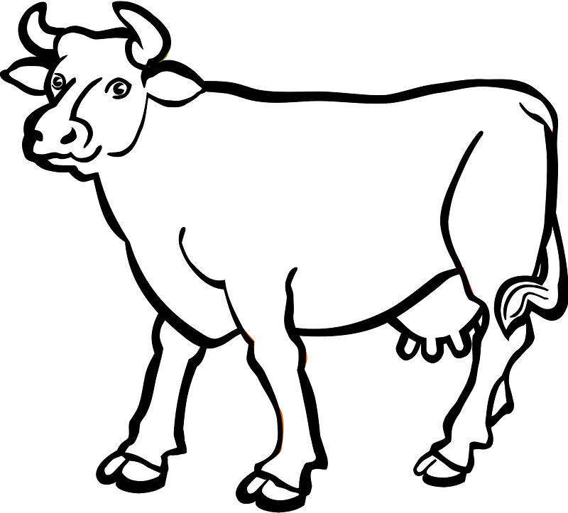 Detail Clipart Black And White Cow Nomer 5