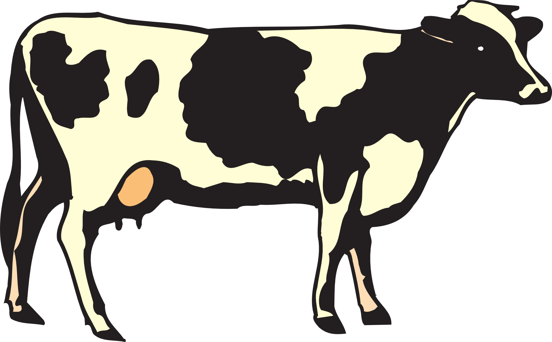 Detail Clipart Black And White Cow Nomer 39