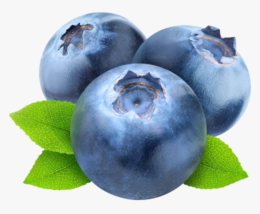 Detail Clipart Blueberries Nomer 19