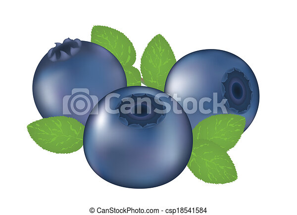 Detail Clipart Blueberries Nomer 35