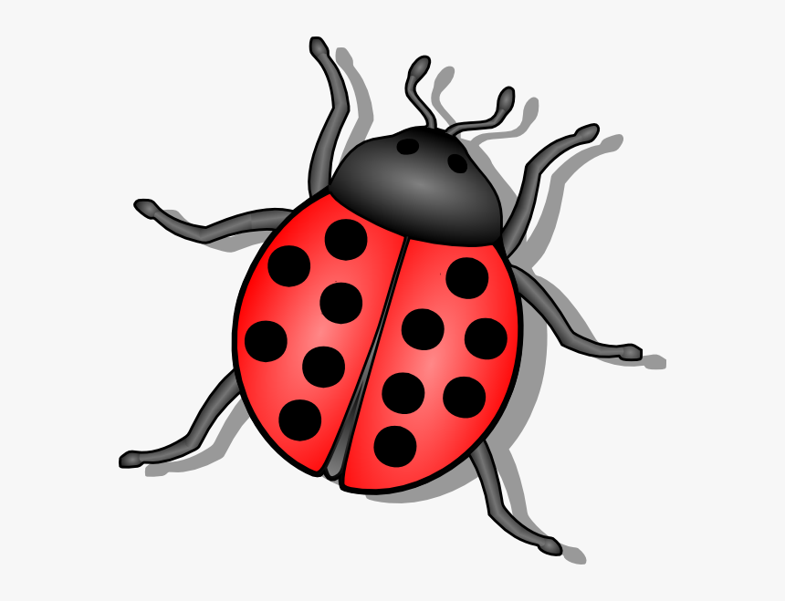 Detail Clipart Bug Nomer 2