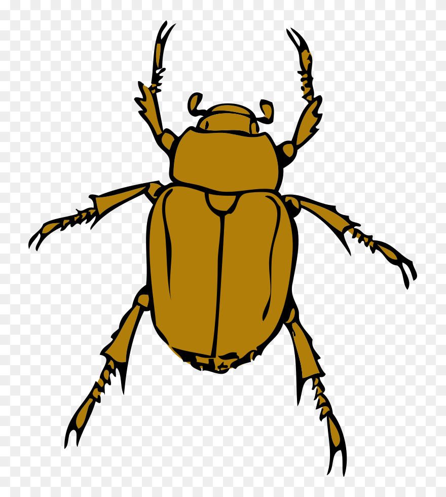Detail Clipart Bug Nomer 32