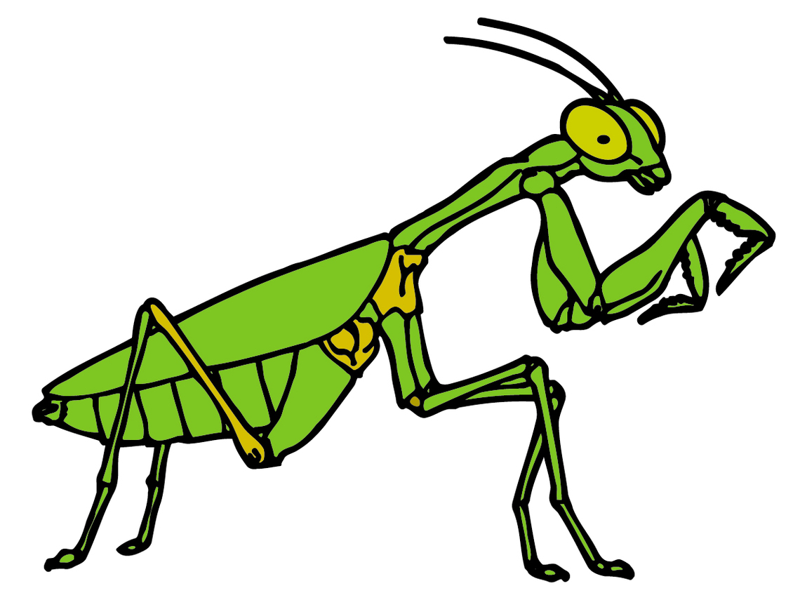 Detail Clipart Bug Nomer 34