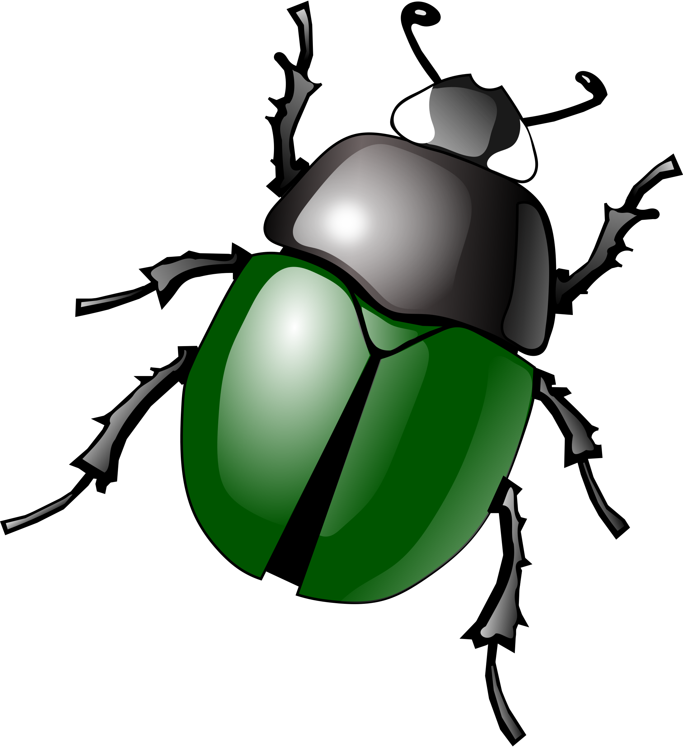 Detail Clipart Bug Nomer 8