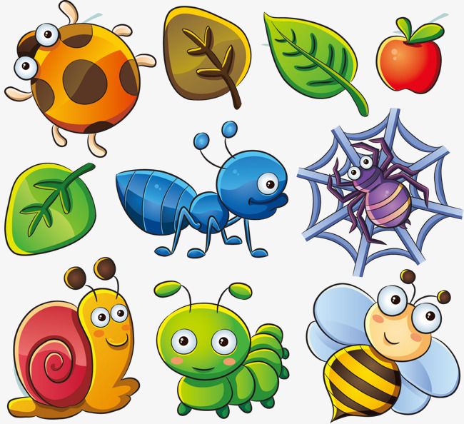 Detail Clipart Bugs Nomer 22