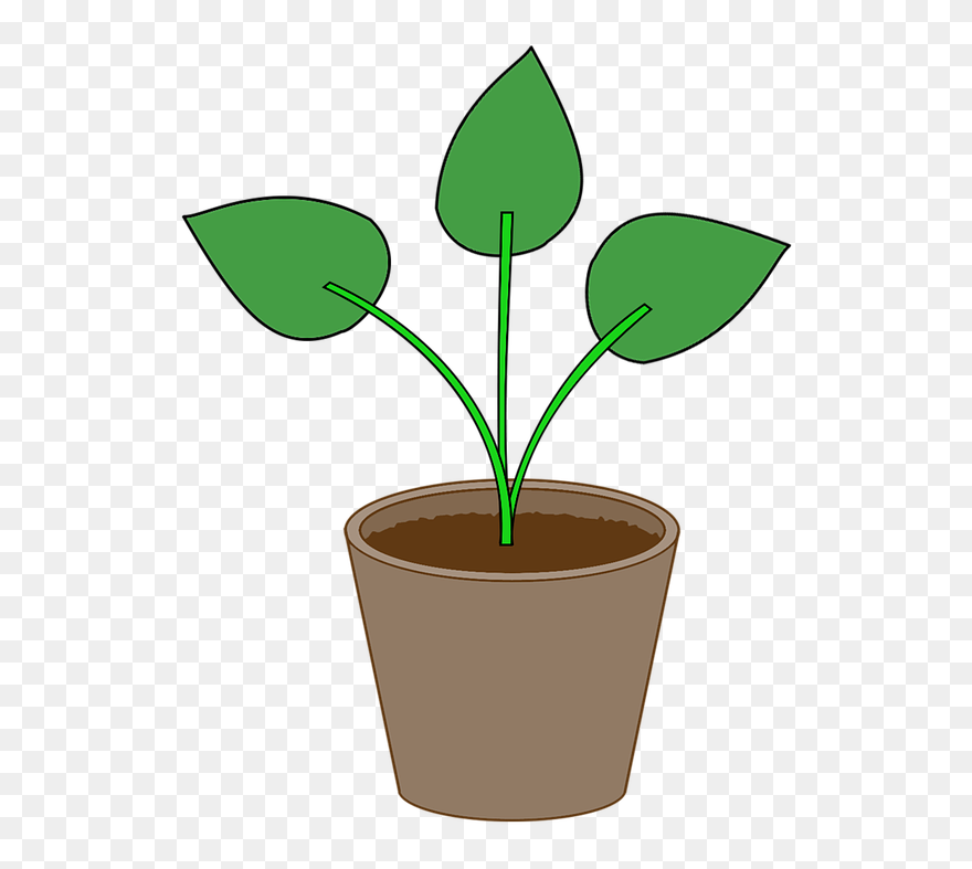 Detail Clipart Bunga Nomer 38