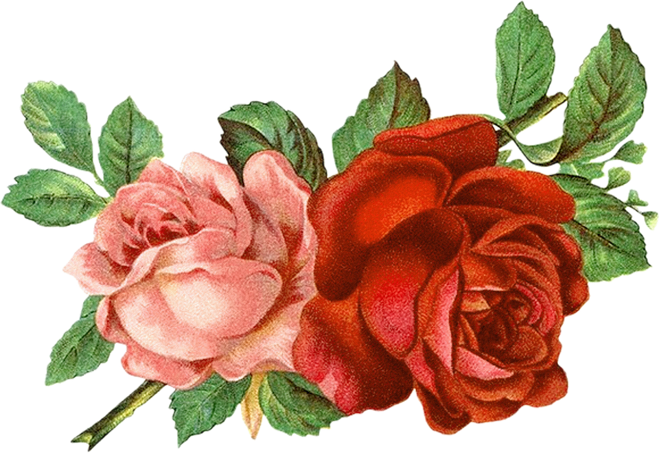 Detail Clipart Bunga Nomer 6
