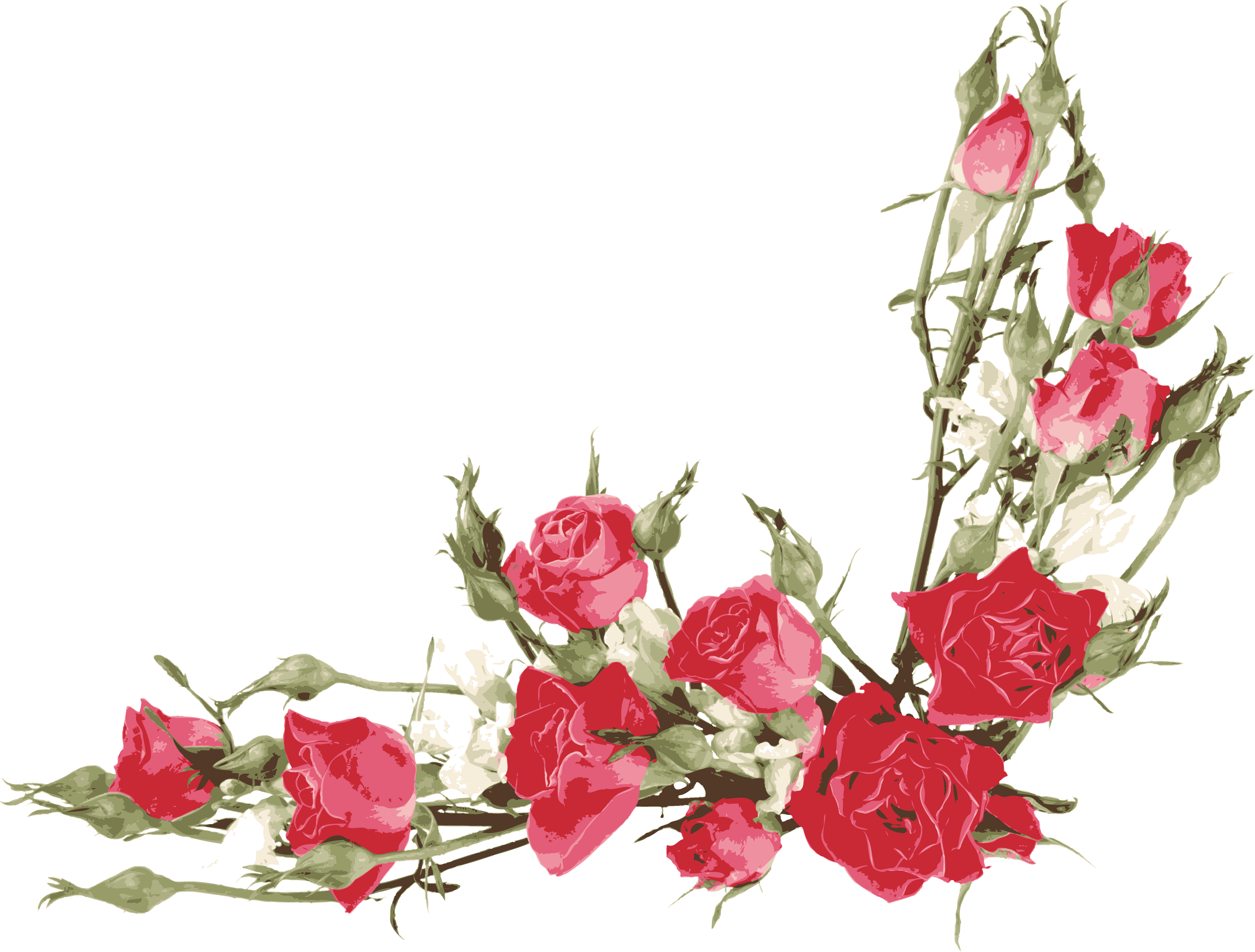 Detail Clipart Bunga Mawar Nomer 21