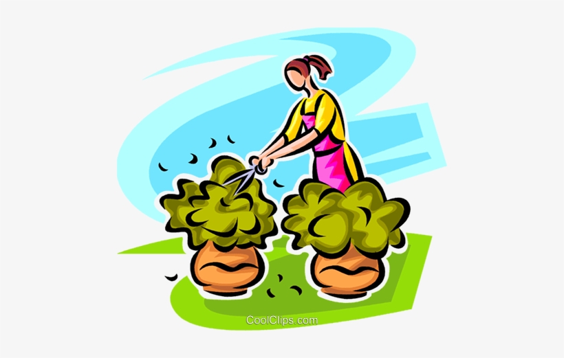 Detail Clipart Bushes Nomer 43