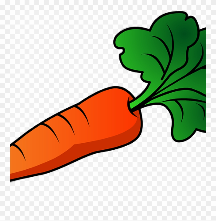 Detail Clipart Carrot Nomer 16