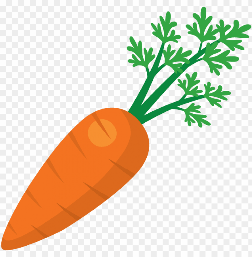 Detail Clipart Carrot Nomer 17