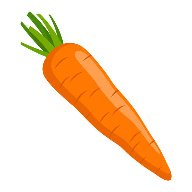 Detail Clipart Carrot Nomer 27