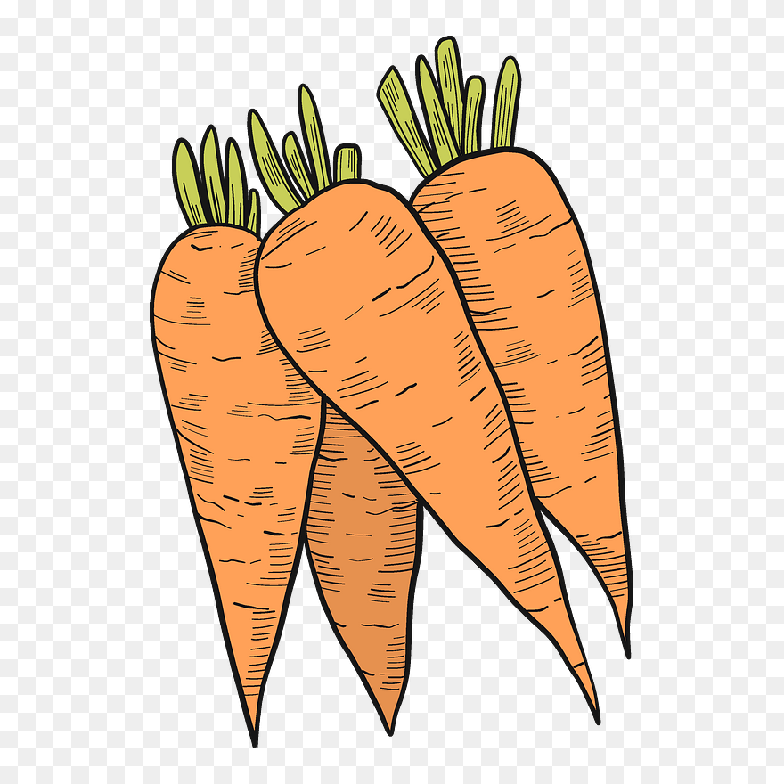 Detail Clipart Carrot Nomer 37