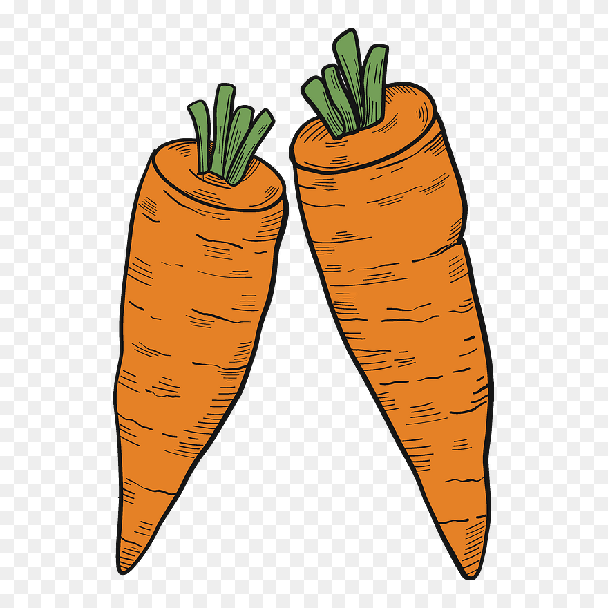 Detail Clipart Carrot Nomer 39