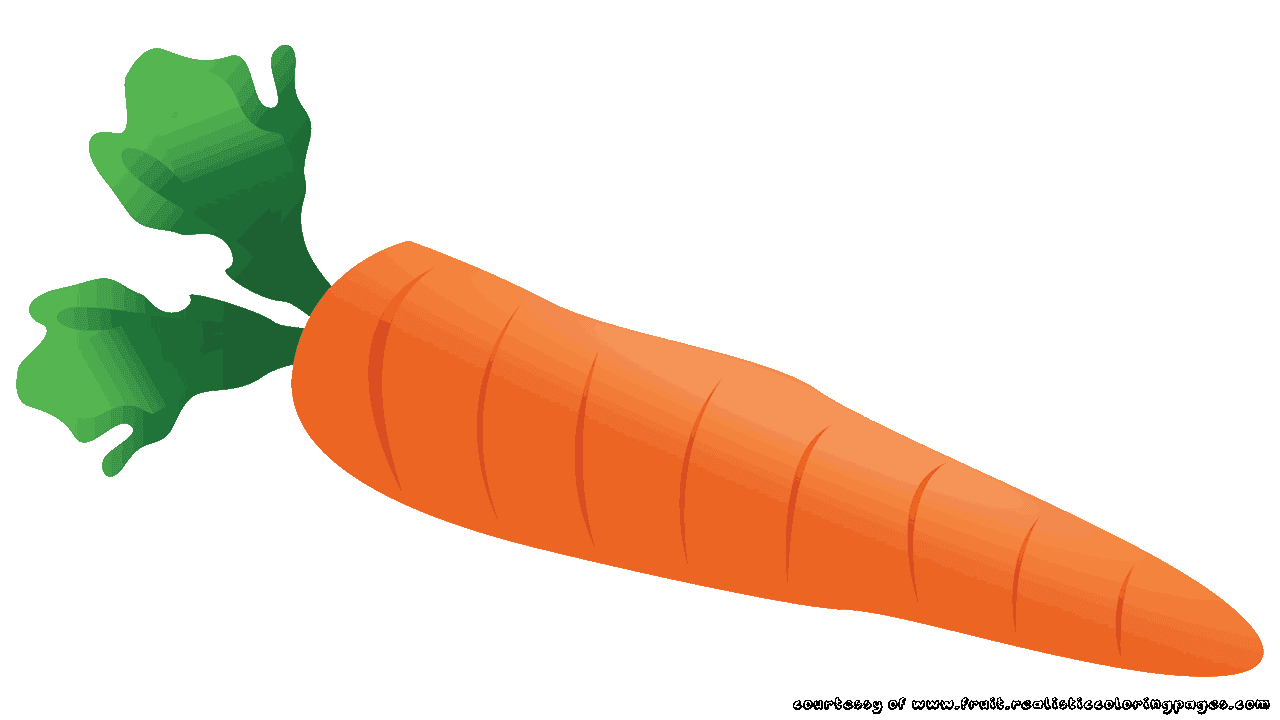 Detail Clipart Carrot Nomer 40