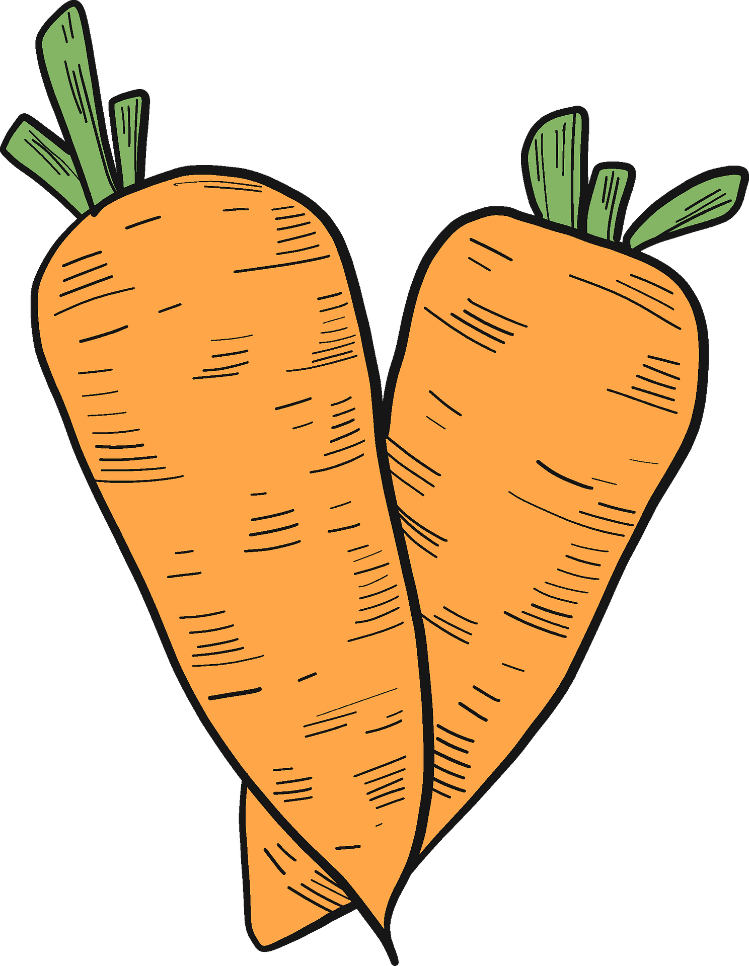 Detail Clipart Carrot Nomer 47