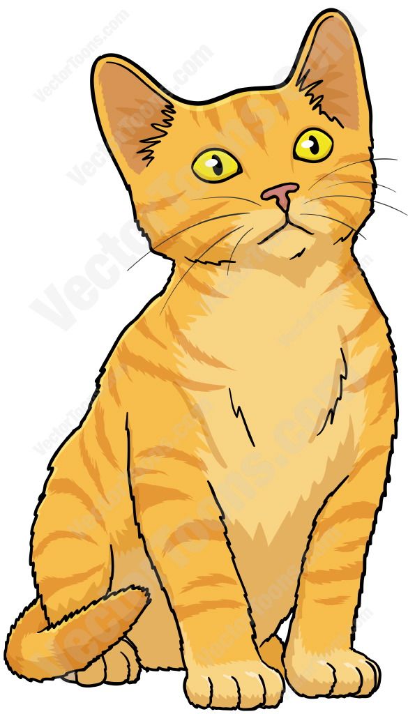 Detail Clipart Cat Nomer 20