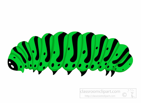 Detail Clipart Caterpillar Nomer 41