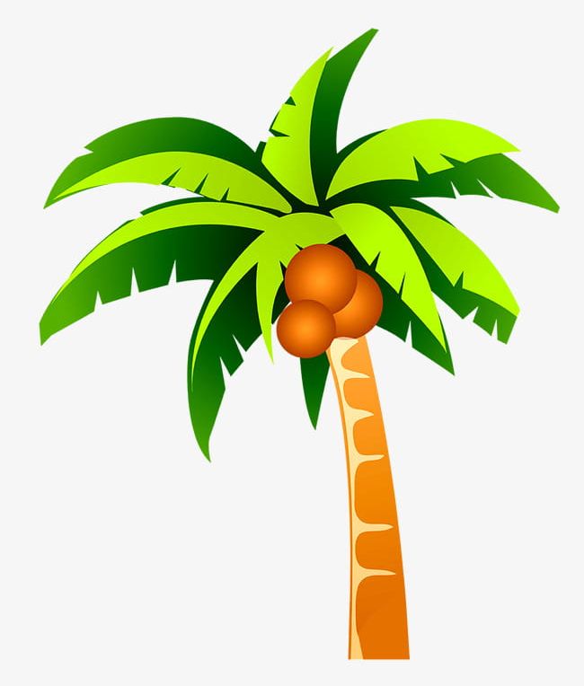 Detail Clipart Coconut Tree Nomer 13