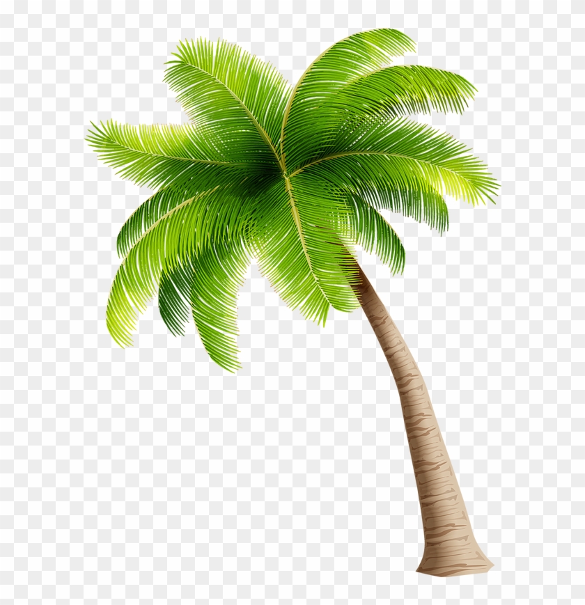 Detail Clipart Coconut Tree Nomer 17